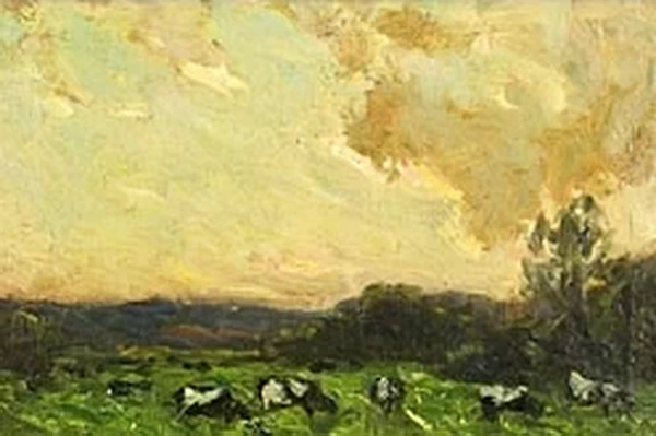 Mucche al pascolo